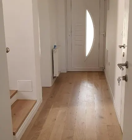 Blueberry * 扎达尔