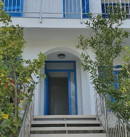 Blueberry Zadar
