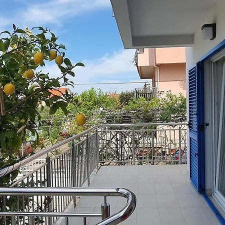 Blueberry 公寓 扎达尔