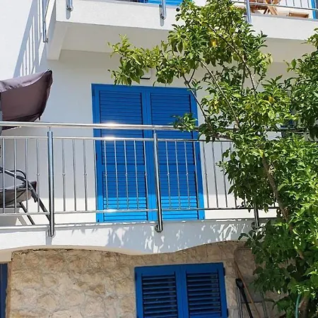 Blueberry Daire Zadar