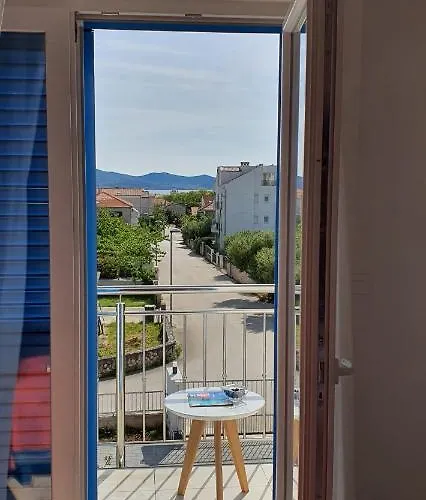 Blueberry * Zadar