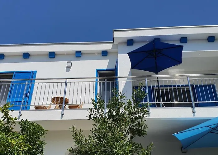 Blueberry * Zadar
