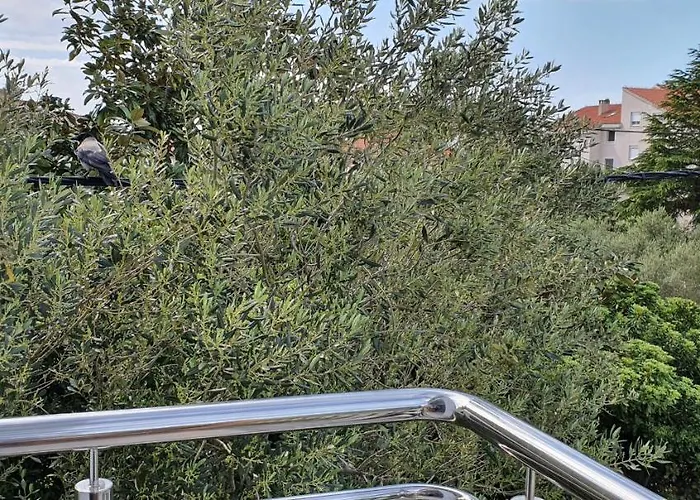 Apartament Blueberry *