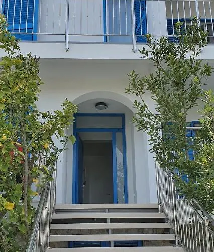 Blueberry Zadar