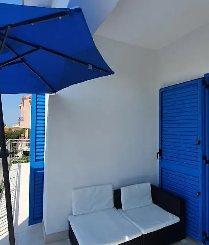 Blueberry Zadar