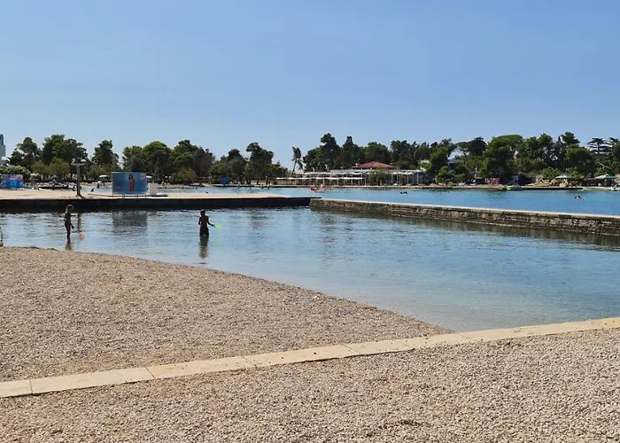 Blueberry * Zadar