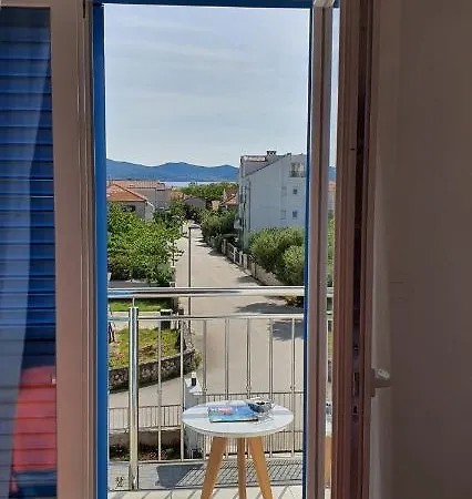 Blueberry * Zadar