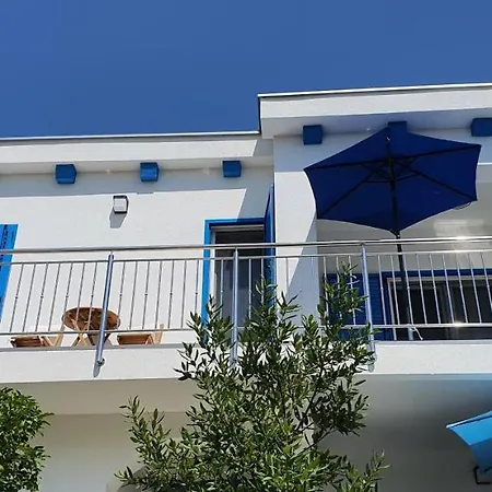 Blueberry * Zadar