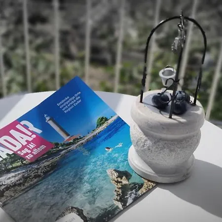 Blueberry Zadar