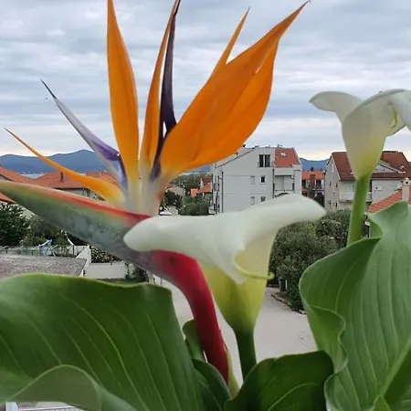 Blueberry Appartamento