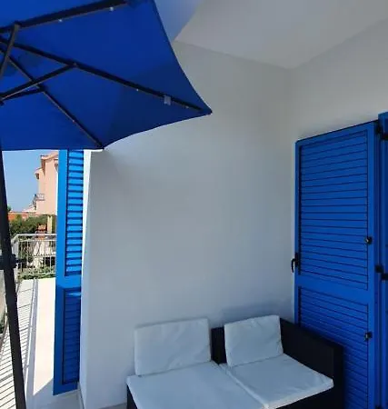Blueberry Zadar