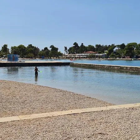 Blueberry * Zadar