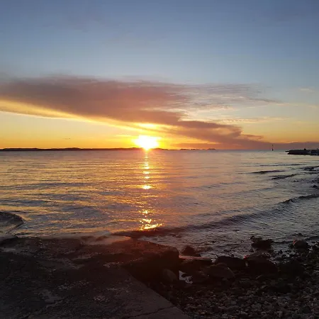 Blueberry * Zadar