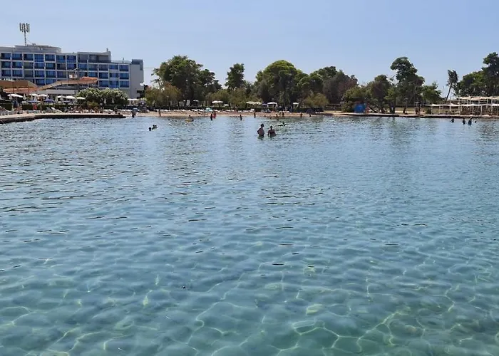 Blueberry Apartman *